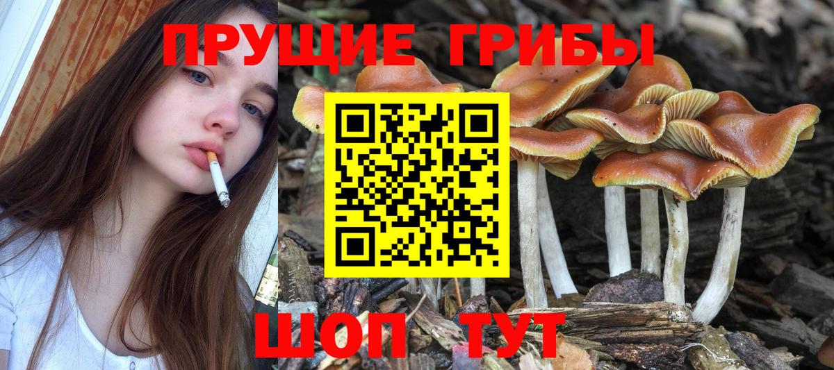 Галлюциногенные грибы прущие грибы Астрахань